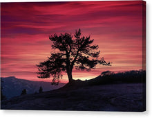 Load image into Gallery viewer, The Tree - Canvas Print