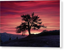 Load image into Gallery viewer, The Tree  - Canvas Print
