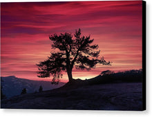 Load image into Gallery viewer, The Tree - Canvas Print