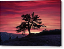 Load image into Gallery viewer, The Tree  - Canvas Print

