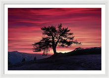 Load image into Gallery viewer, The Tree  - Framed Print
